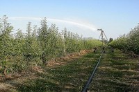 L’irrigazione 4.0 fa risparmiare acqua ed energia