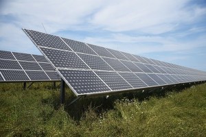 Fotovoltaico in area agricola: ecco i criteri per le coltivazioni certificate